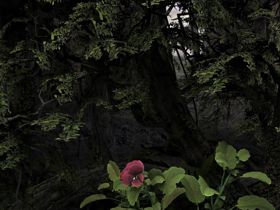 Цветок в вечернем лесу